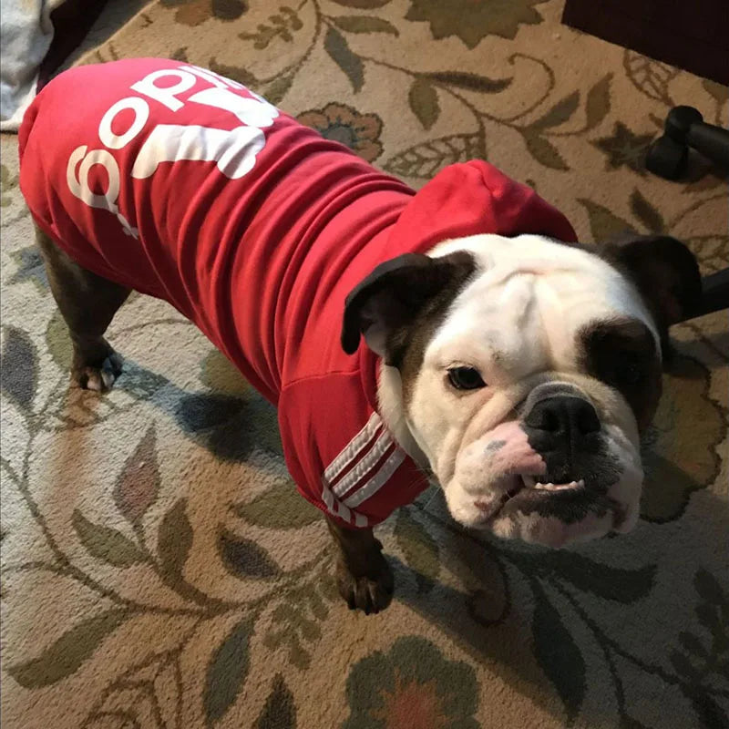 Pawtastic 😎 Hoodies