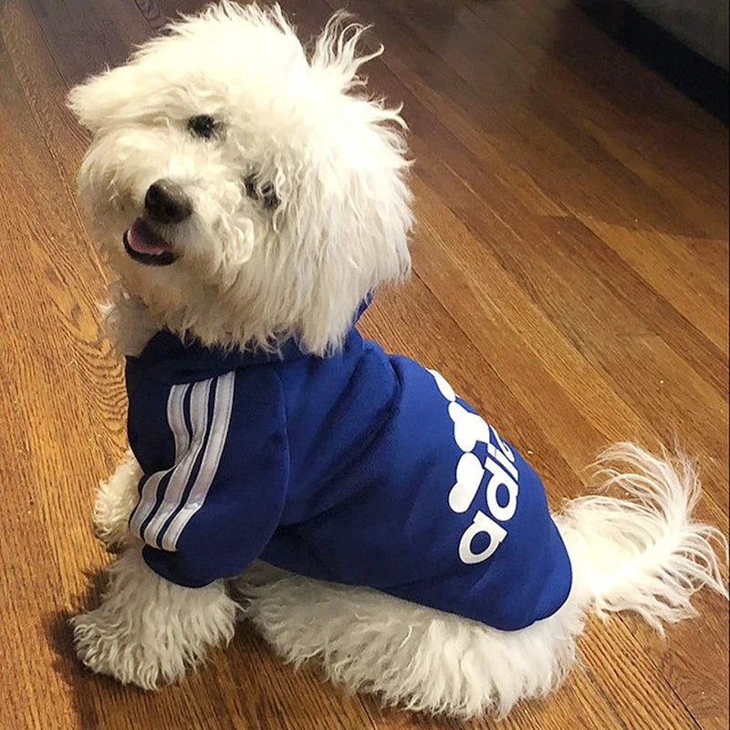 Pawtastic 😎 Hoodies