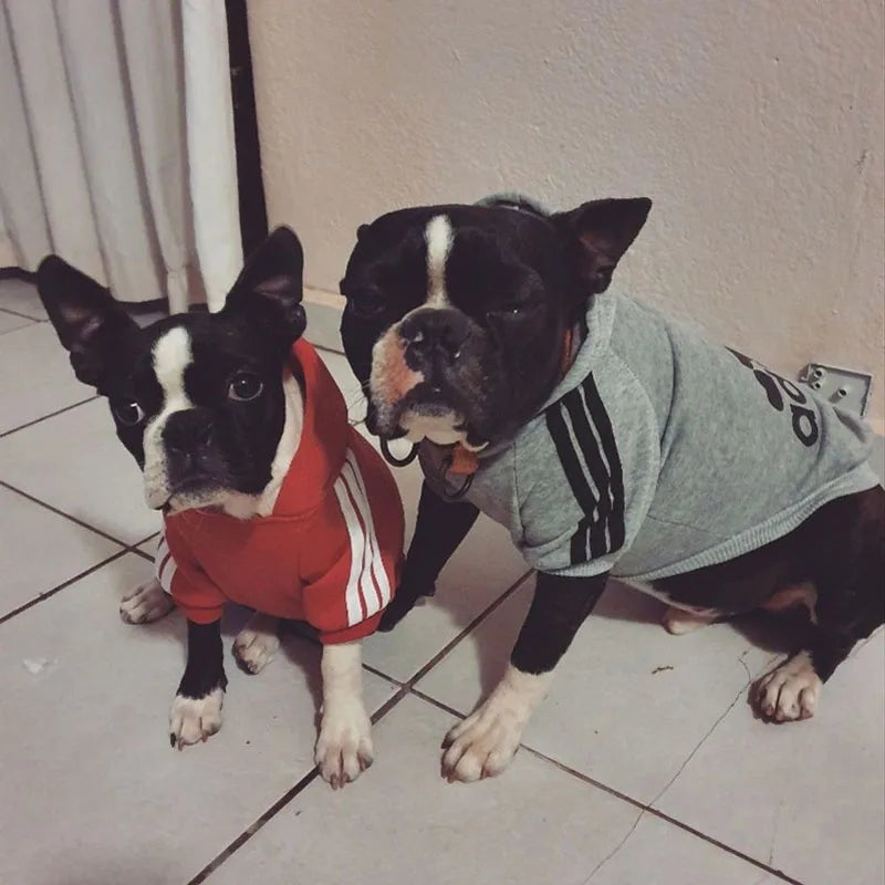 Pawtastic 😎 Hoodies
