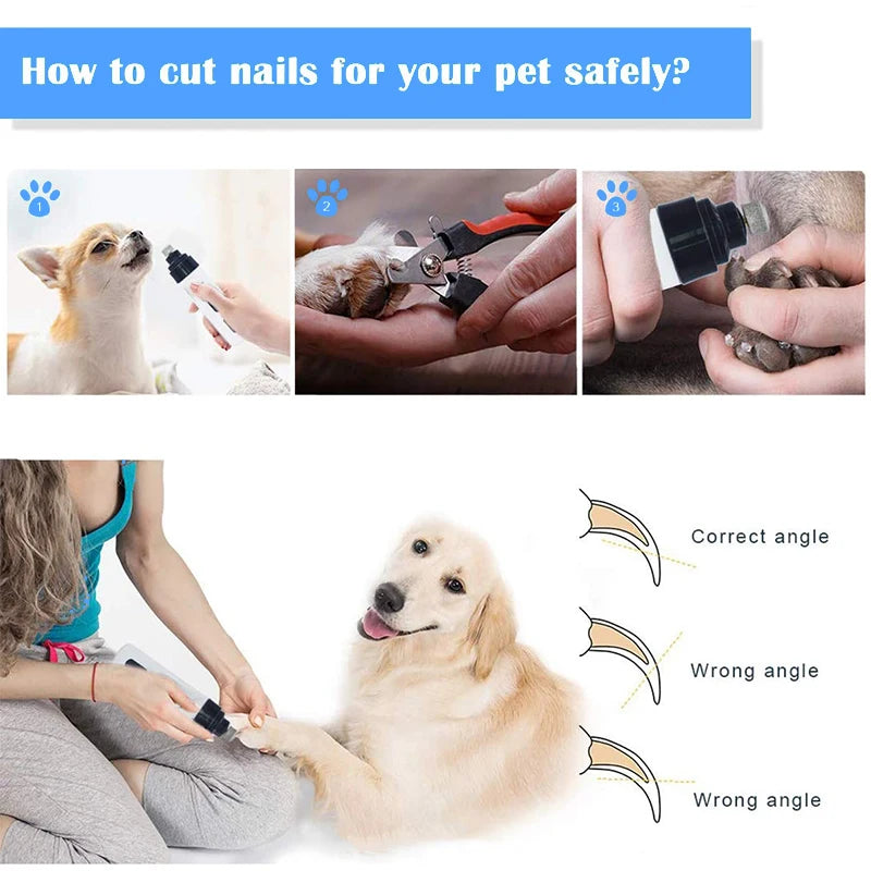 PetPaws Spa 💅🐾
