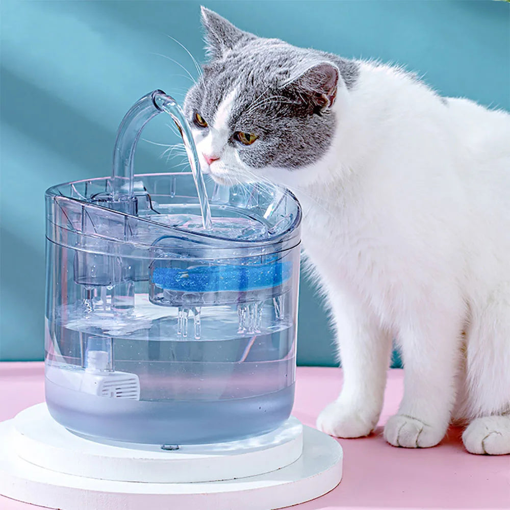 🐾 CatFlow Oasis 🐱💧 
