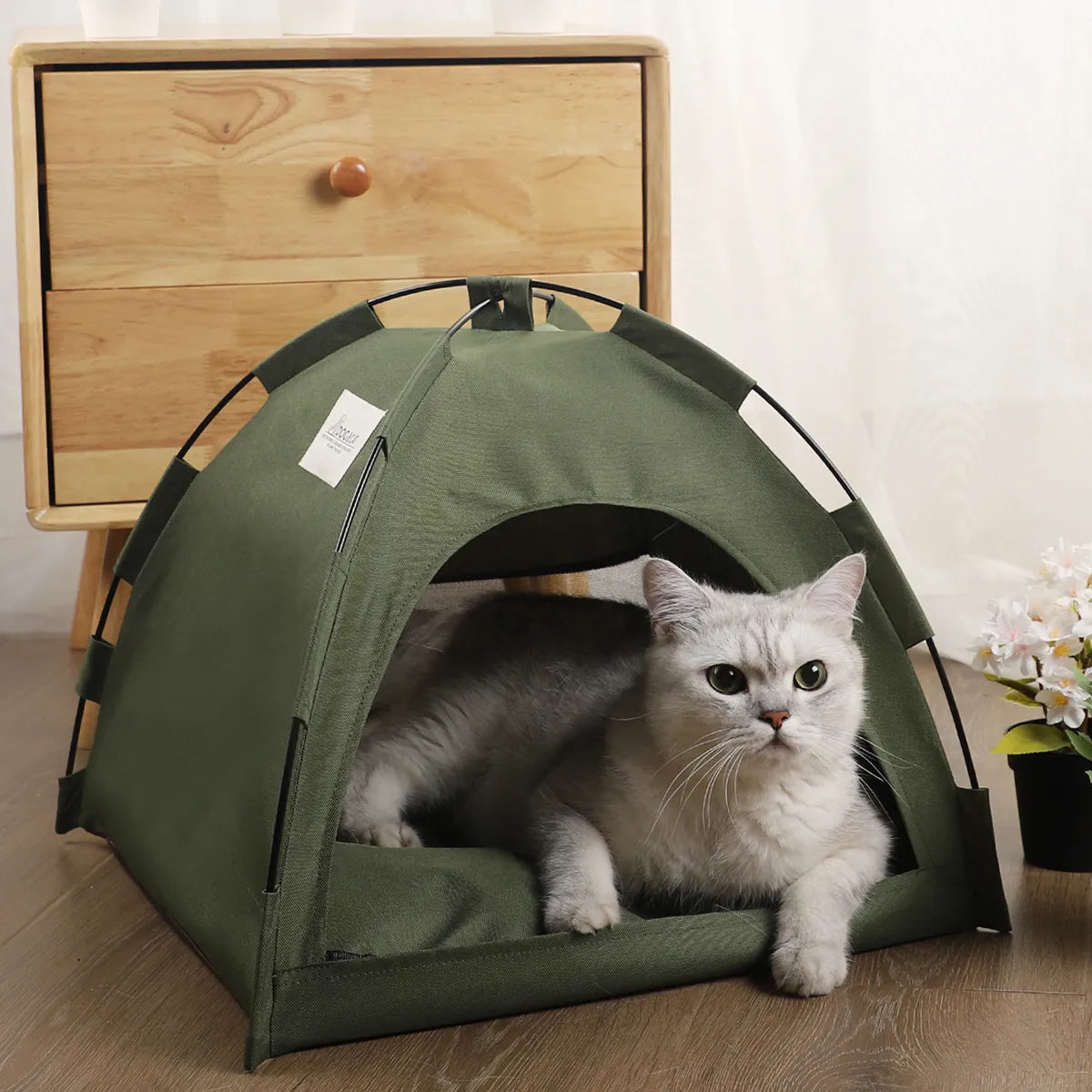 🏕️ PawTent Heaven 🐾