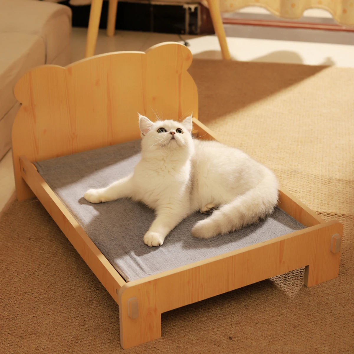 🛏️ KittyDream-Bett 🐾