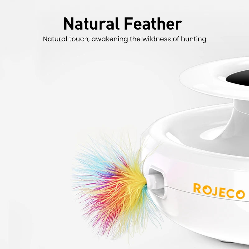 Rojeco CatchMaster 🐱🎯