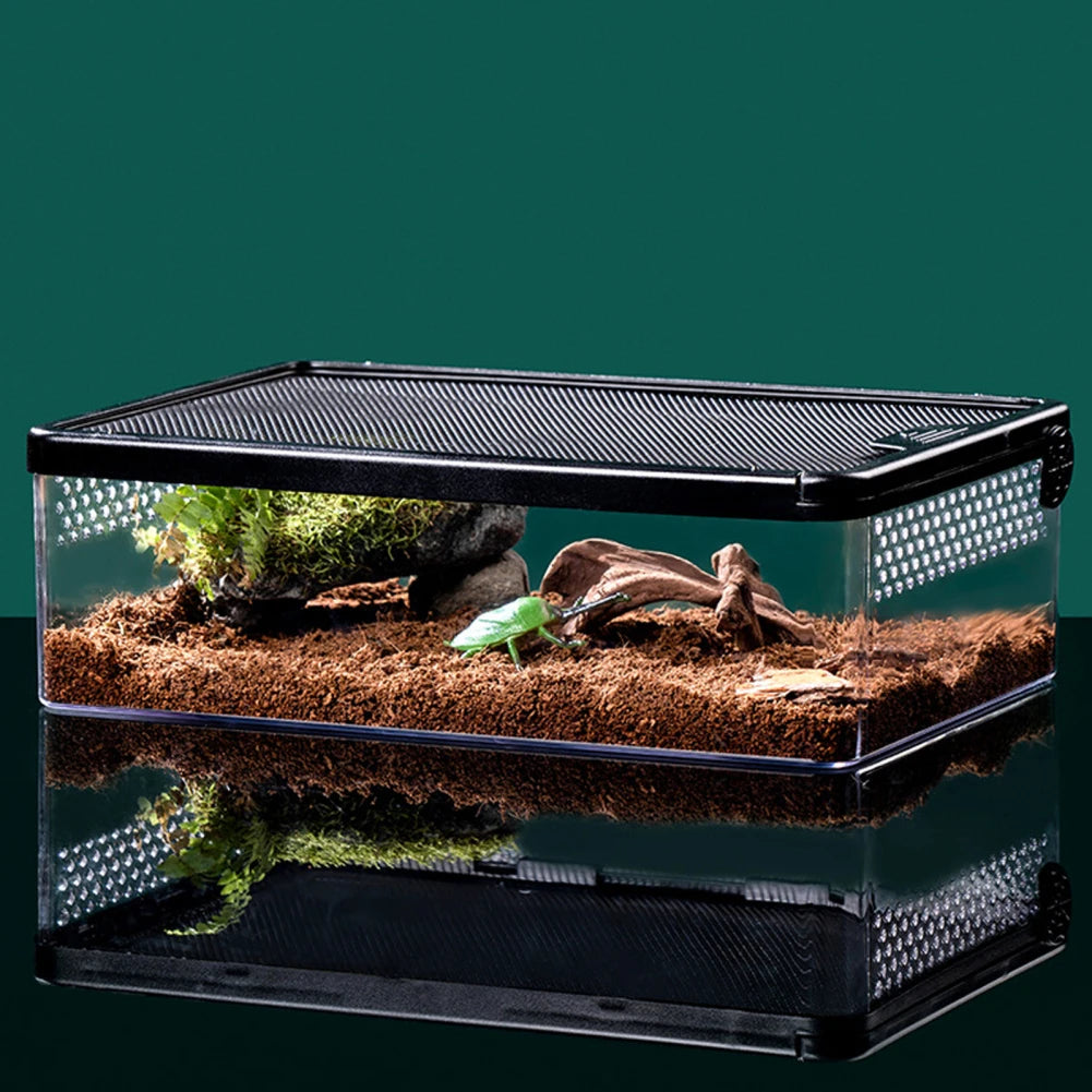 🐢🏞️ Reptiloo! 