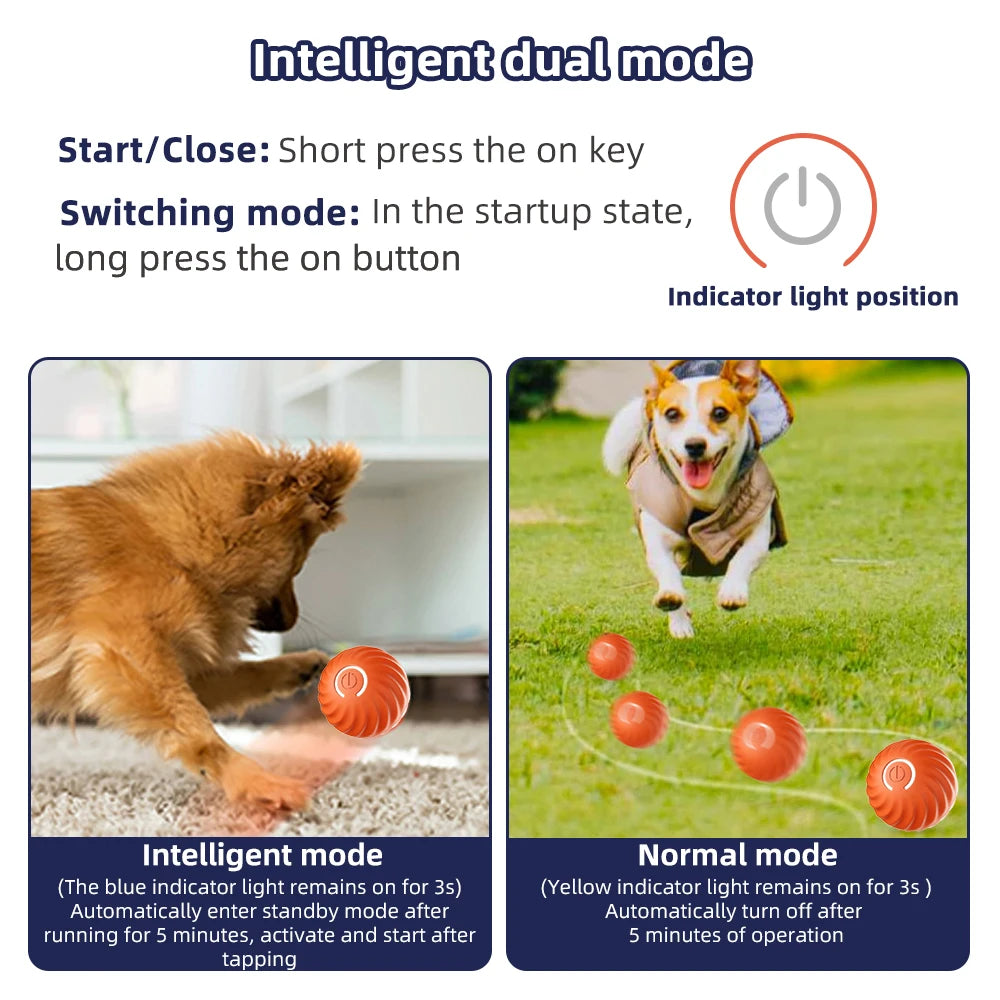 WoofTech 🐾