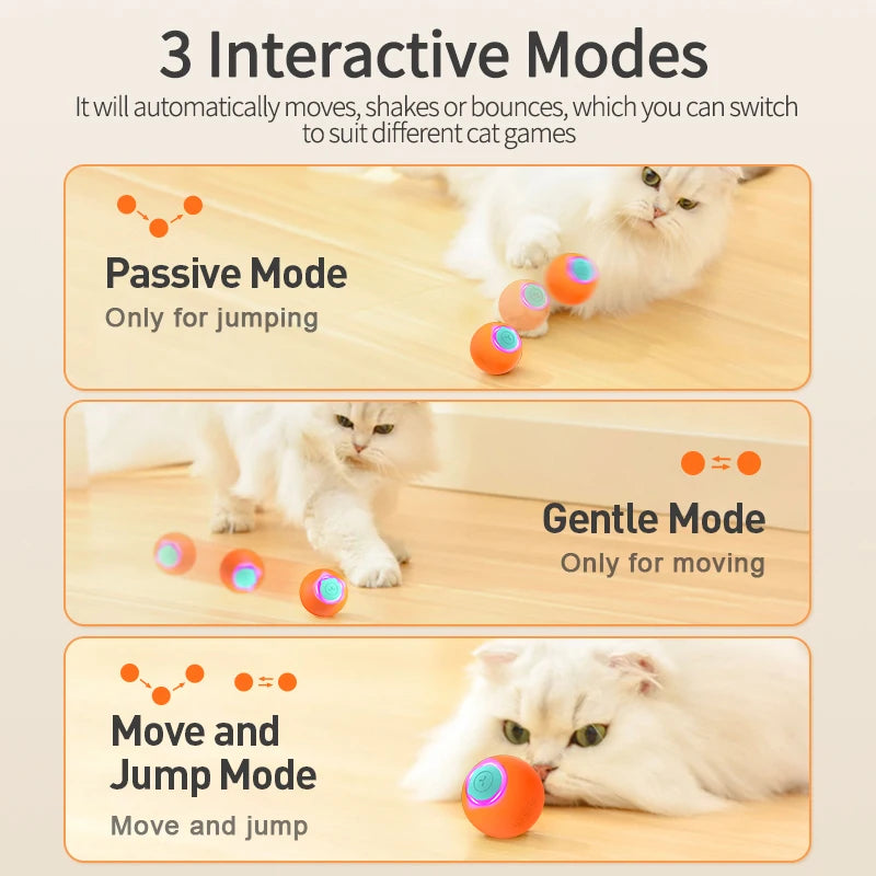 🐱Rojeco KittySense Orb🐾 