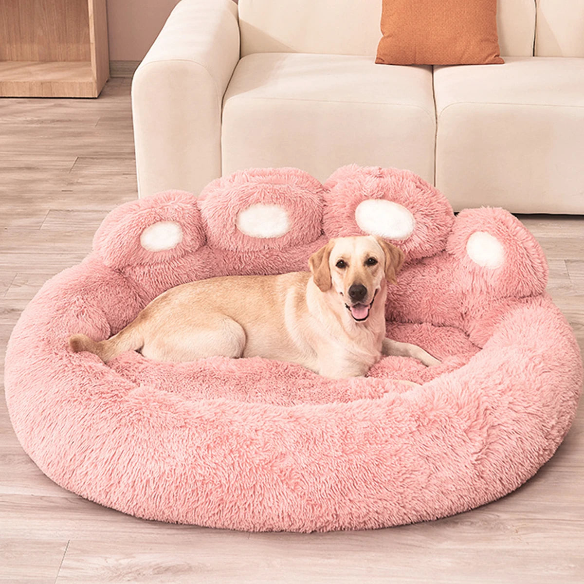 🐾Paw Paradise🐾