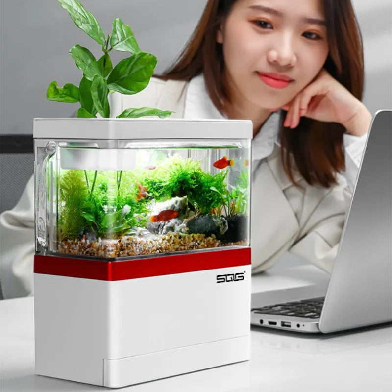 🐠💡 AquaRelax: La Pecera Zen con Estilo 💡🐠