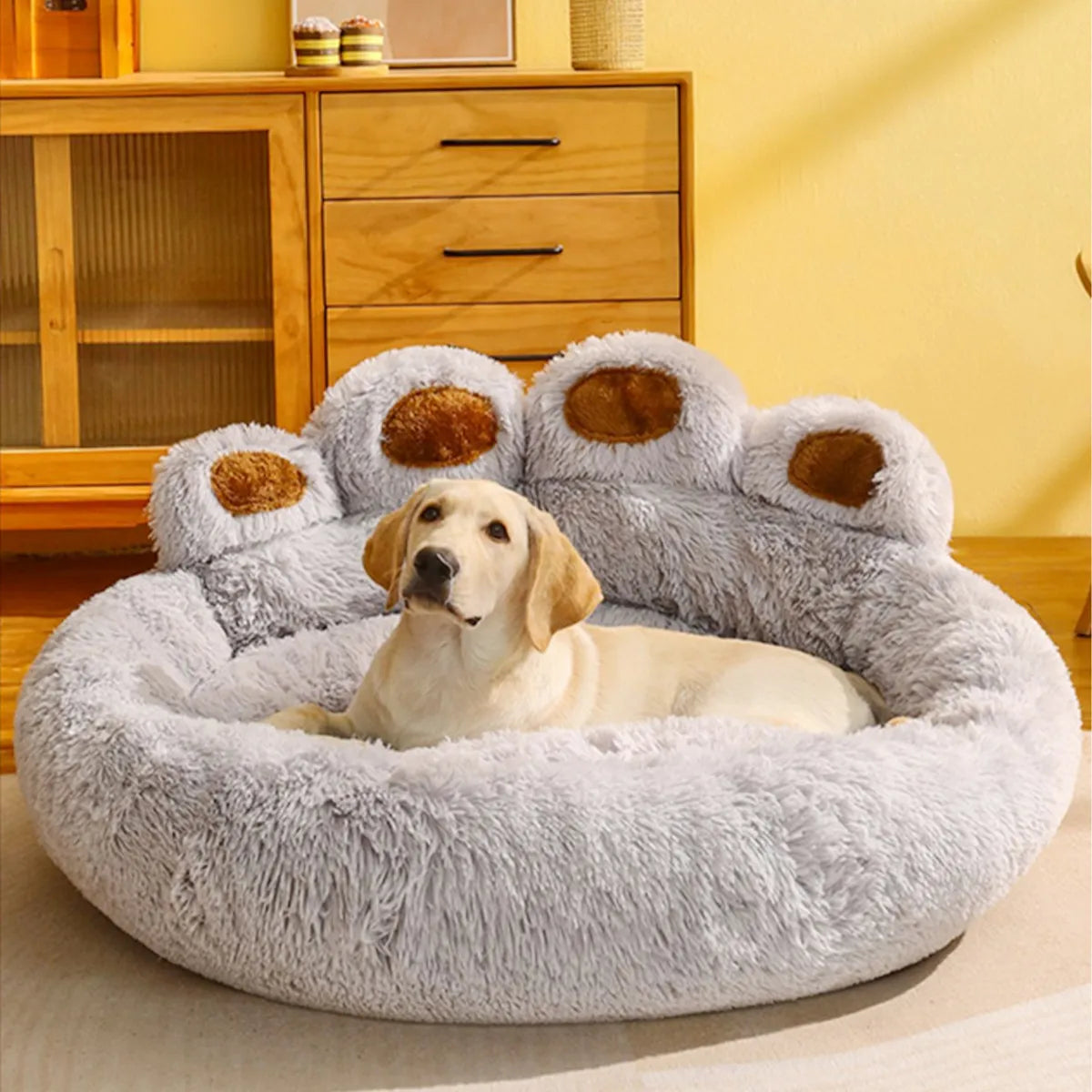 🐾Paw Paradise🐾