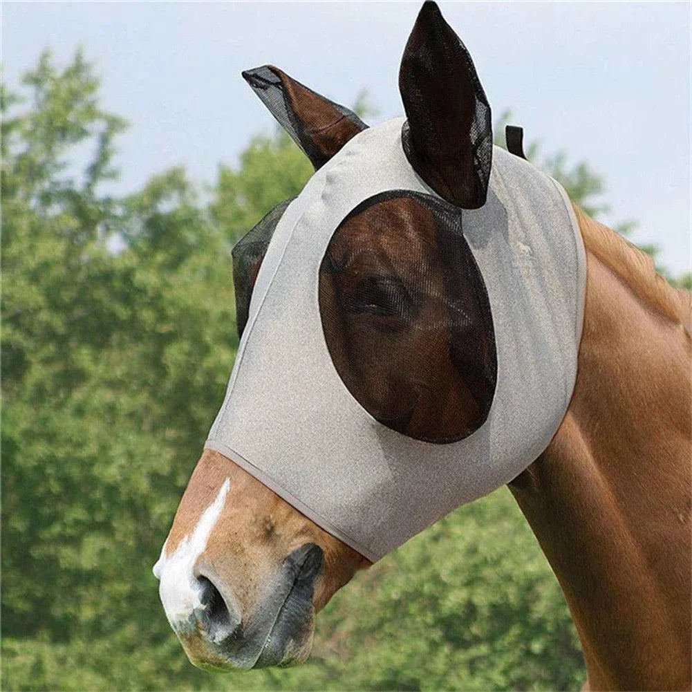 FlyGuard 🐴✨