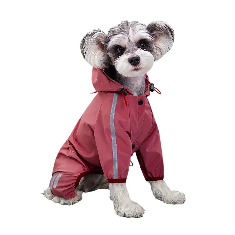 🌧️RainPaw Gear🐾 🐶