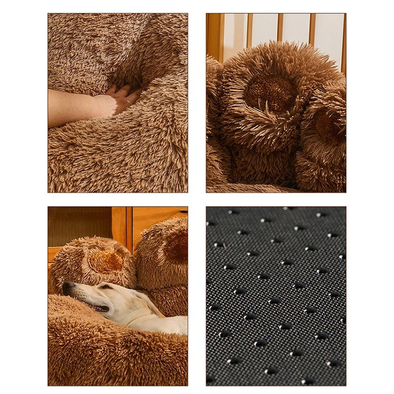 🐾Paw Paradise🐾