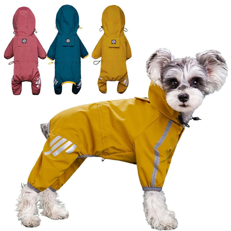 🌧️RainPaw Gear🐾 🐶