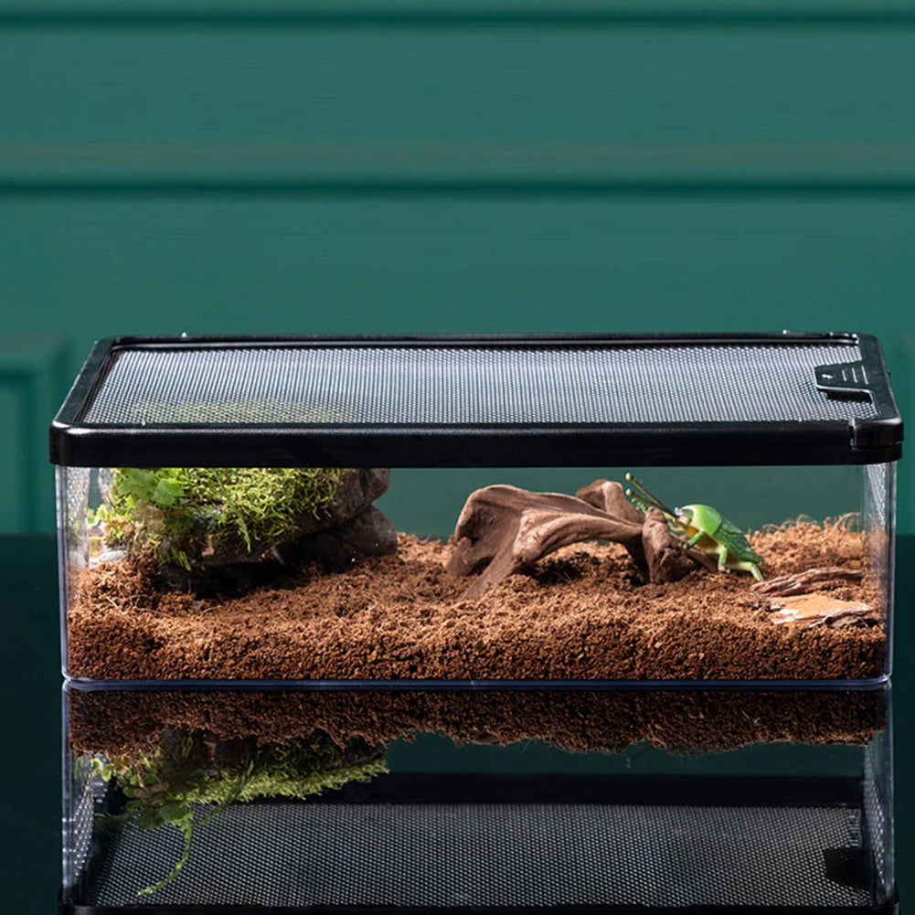🐢🏞️ Reptiloo! 