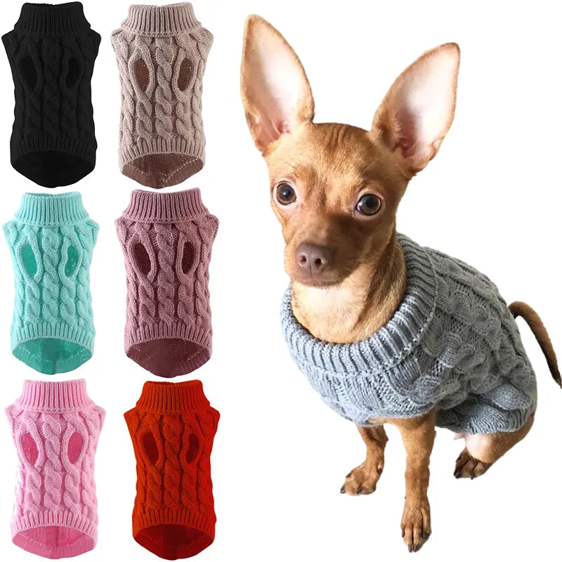 🧶 CozyPaws 🐾 🐶