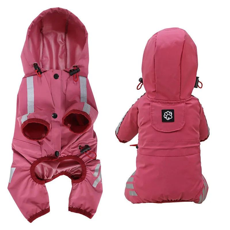 🌧️RainPaw Gear🐾 🐶
