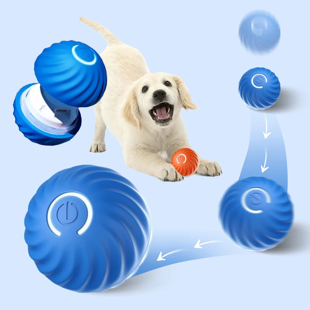 WoofTech 🐾