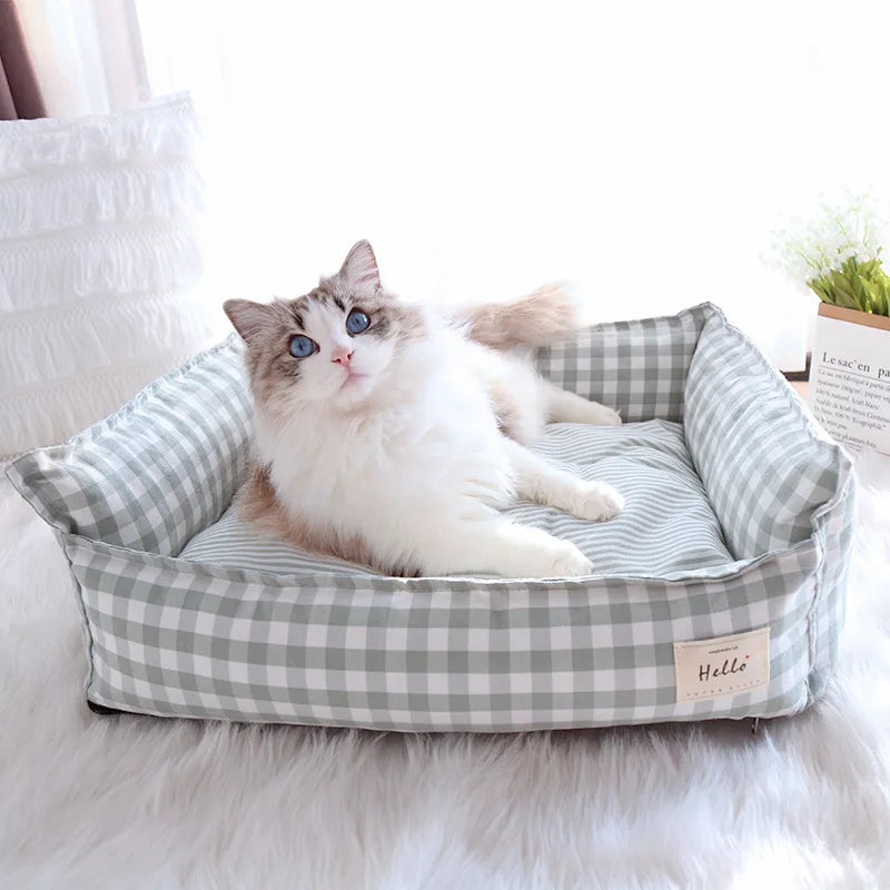 🛏️DreamsPawradise🐾