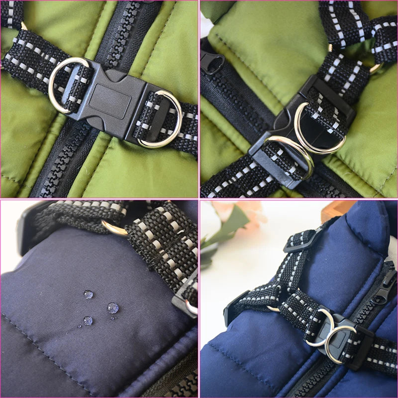 ⭐ StarPaw Harness 🐾