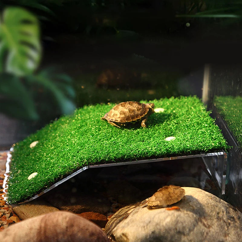 🌿🐢 Dale a tus tortugas un oasis natural 🐢🌿