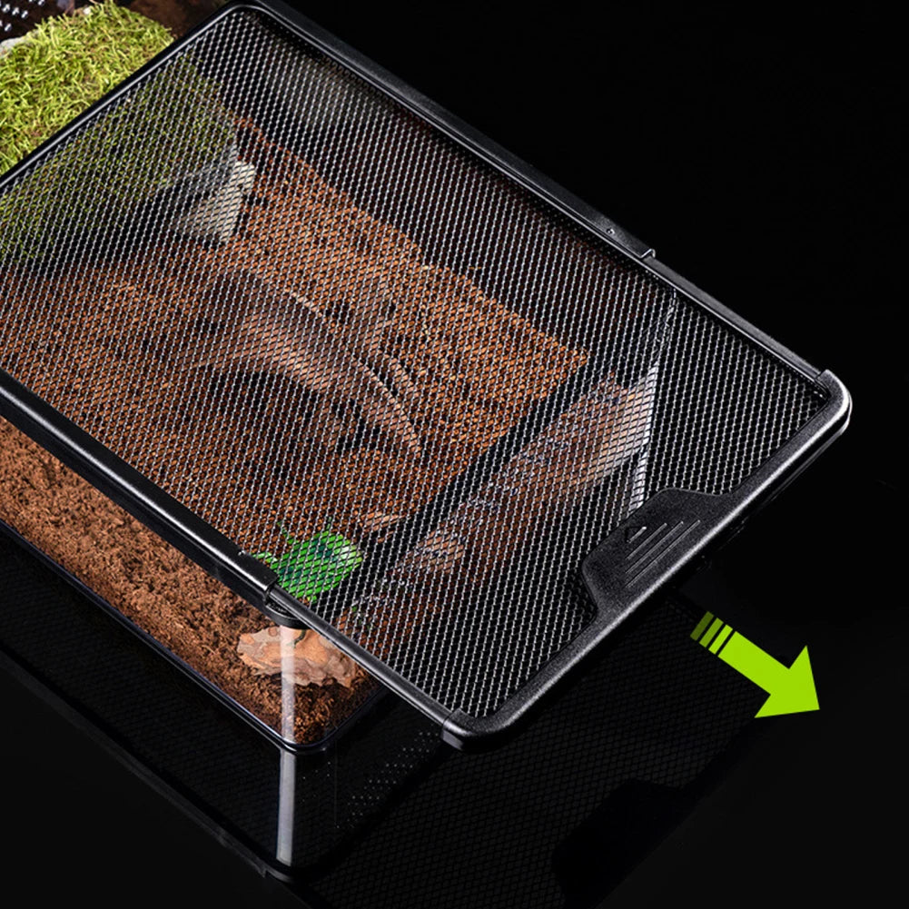 🐢🏞️ Reptiloo! 