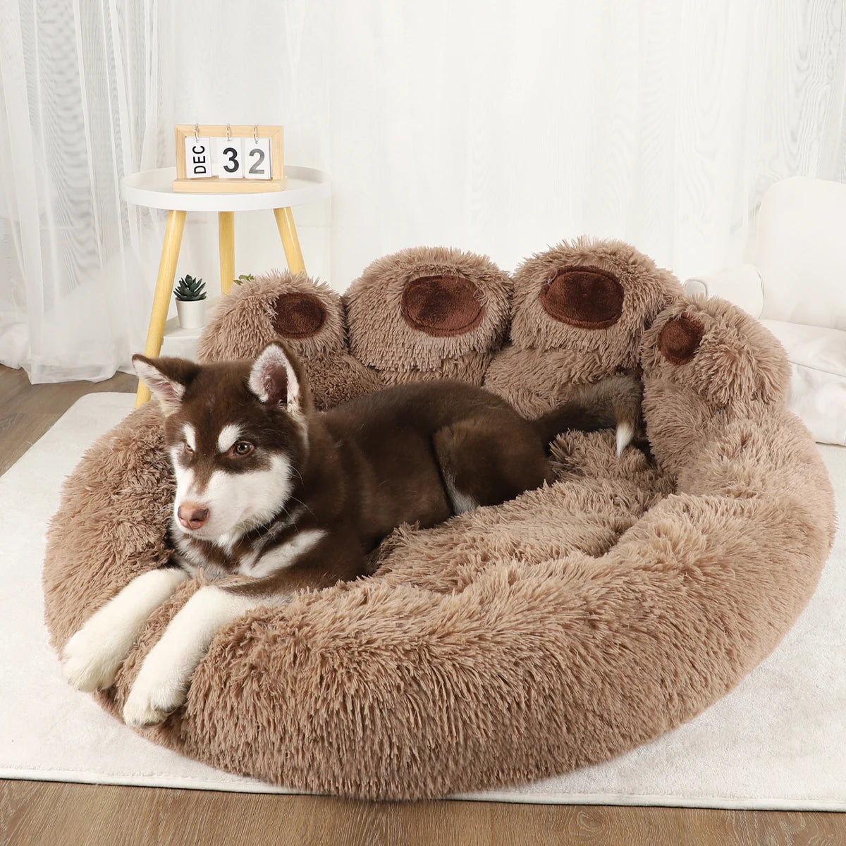 🐾Paw Paradise🐾