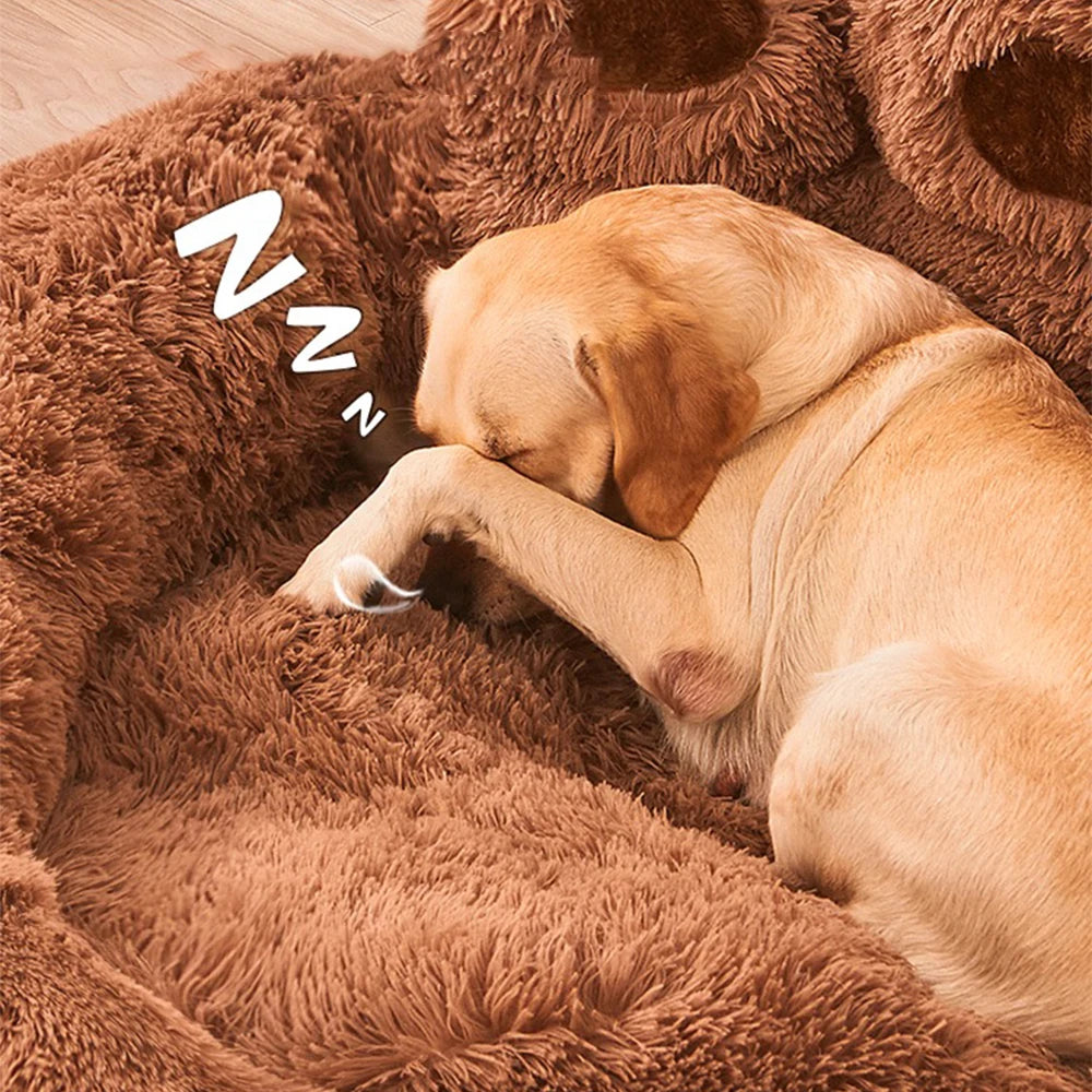 🐾Paw Paradise🐾