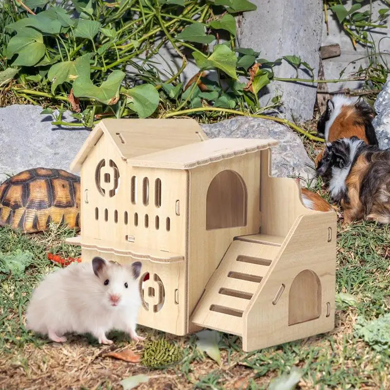 HamstParadise🐹✨ 