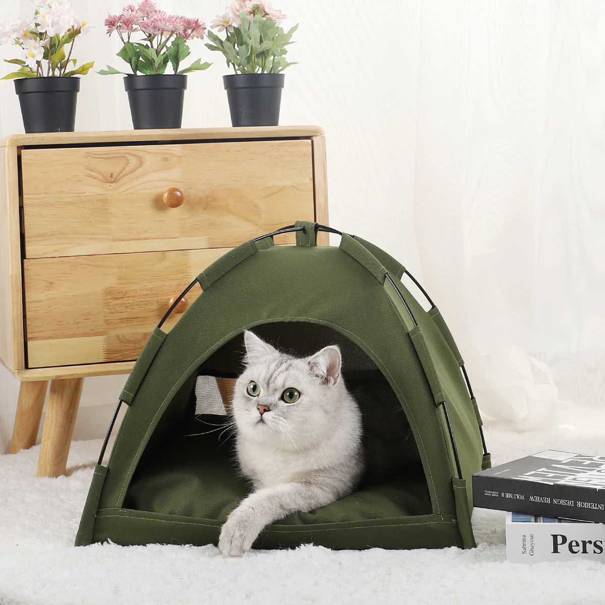 🏕️ PawTent Heaven 🐾
