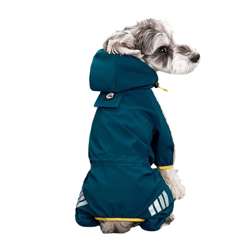 🌧️RainPaw Gear🐾 🐶