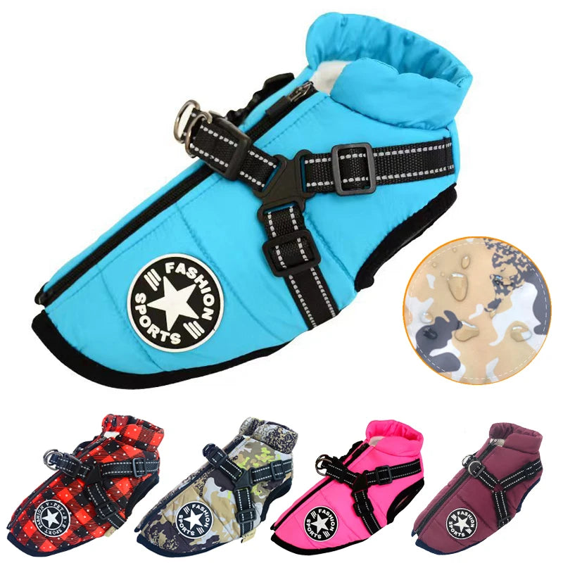 ⭐ StarPaw Harness 🐾