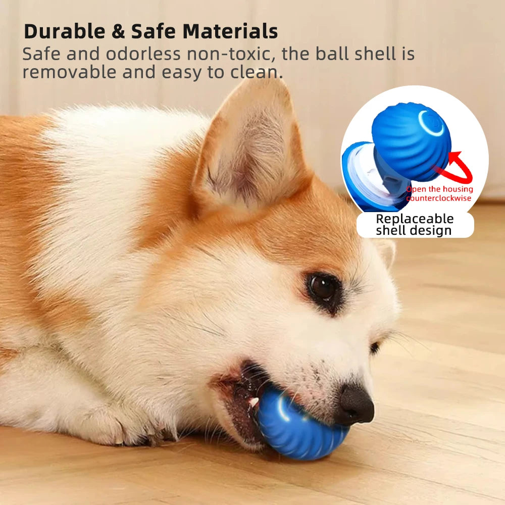 WoofTech 🐾