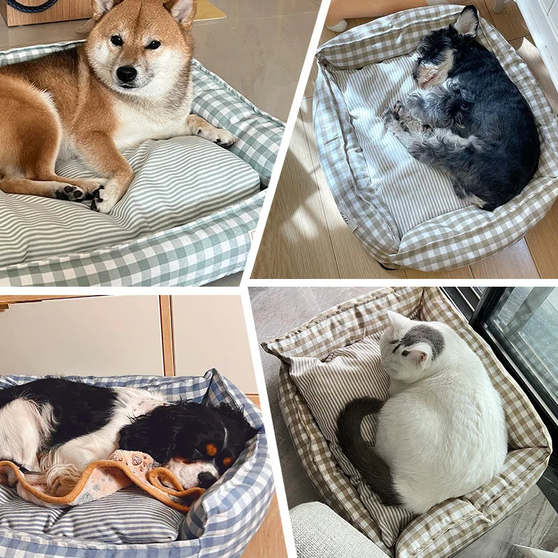 🛏️DreamsPawradise🐾