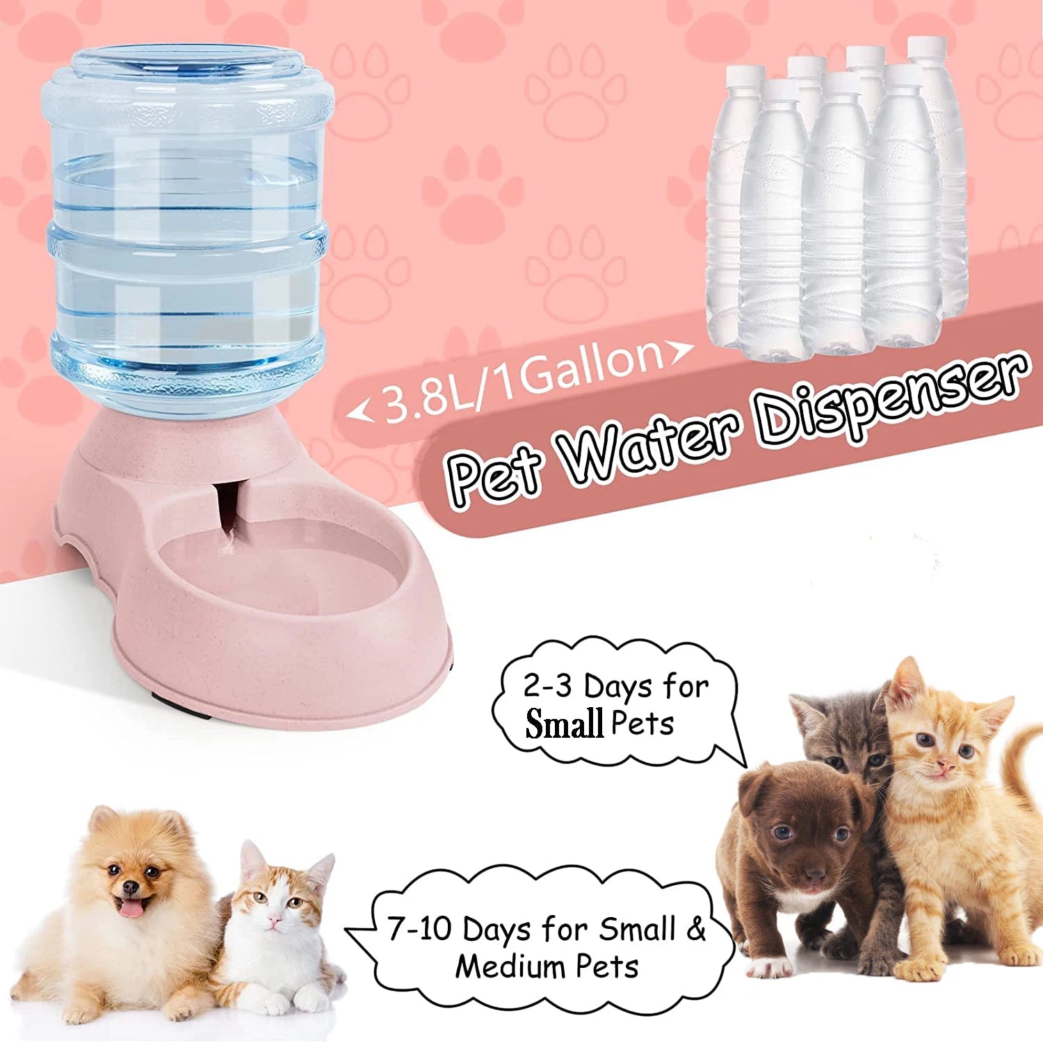 🐾 EasyPet Station 🐶🐱