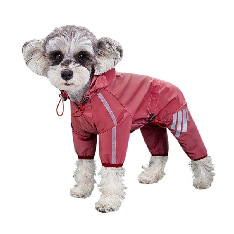 🌧️RainPaw Gear🐾 🐶