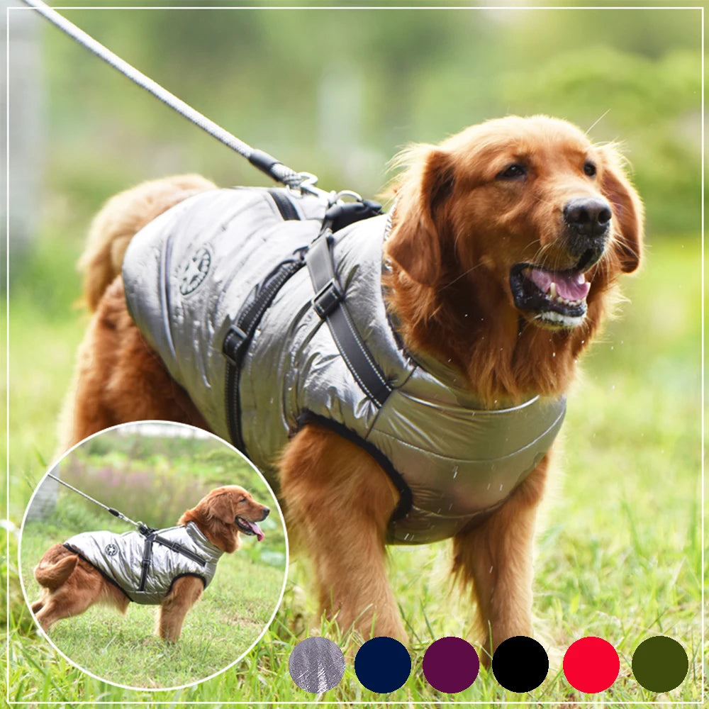 ⭐ StarPaw Harness 🐾