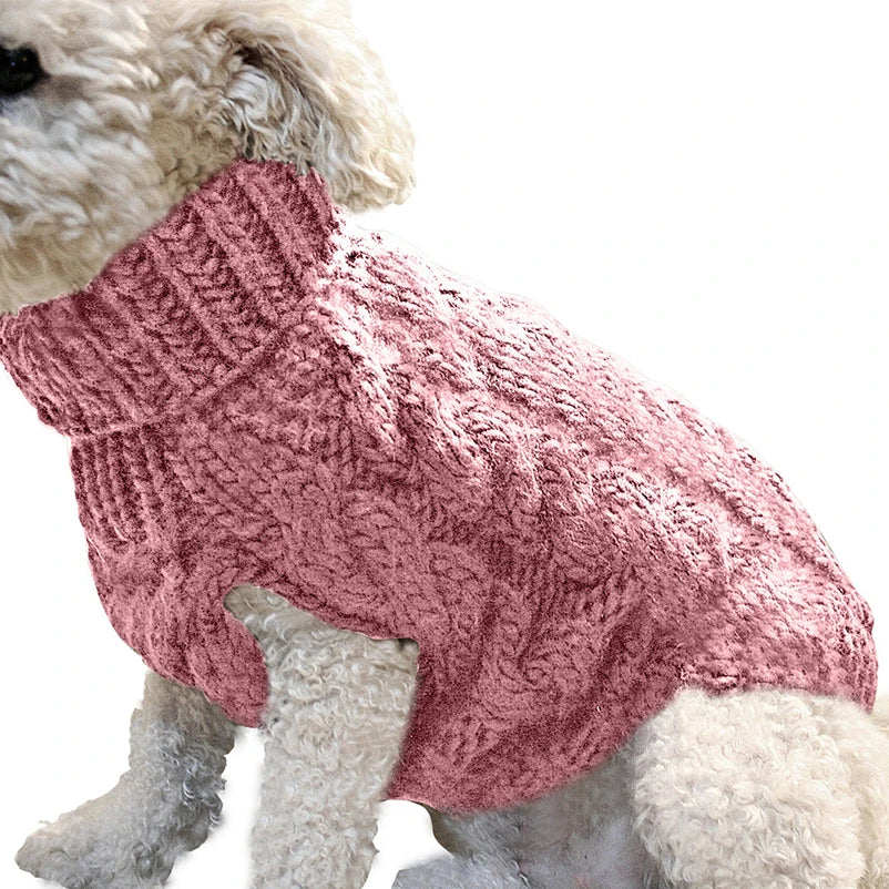 🧶 CozyPaws 🐾 🐶