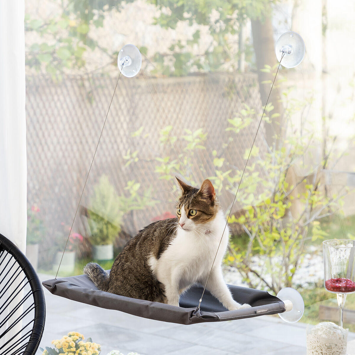Hängende Hängematte für Katzen Catlax InnovaGoods