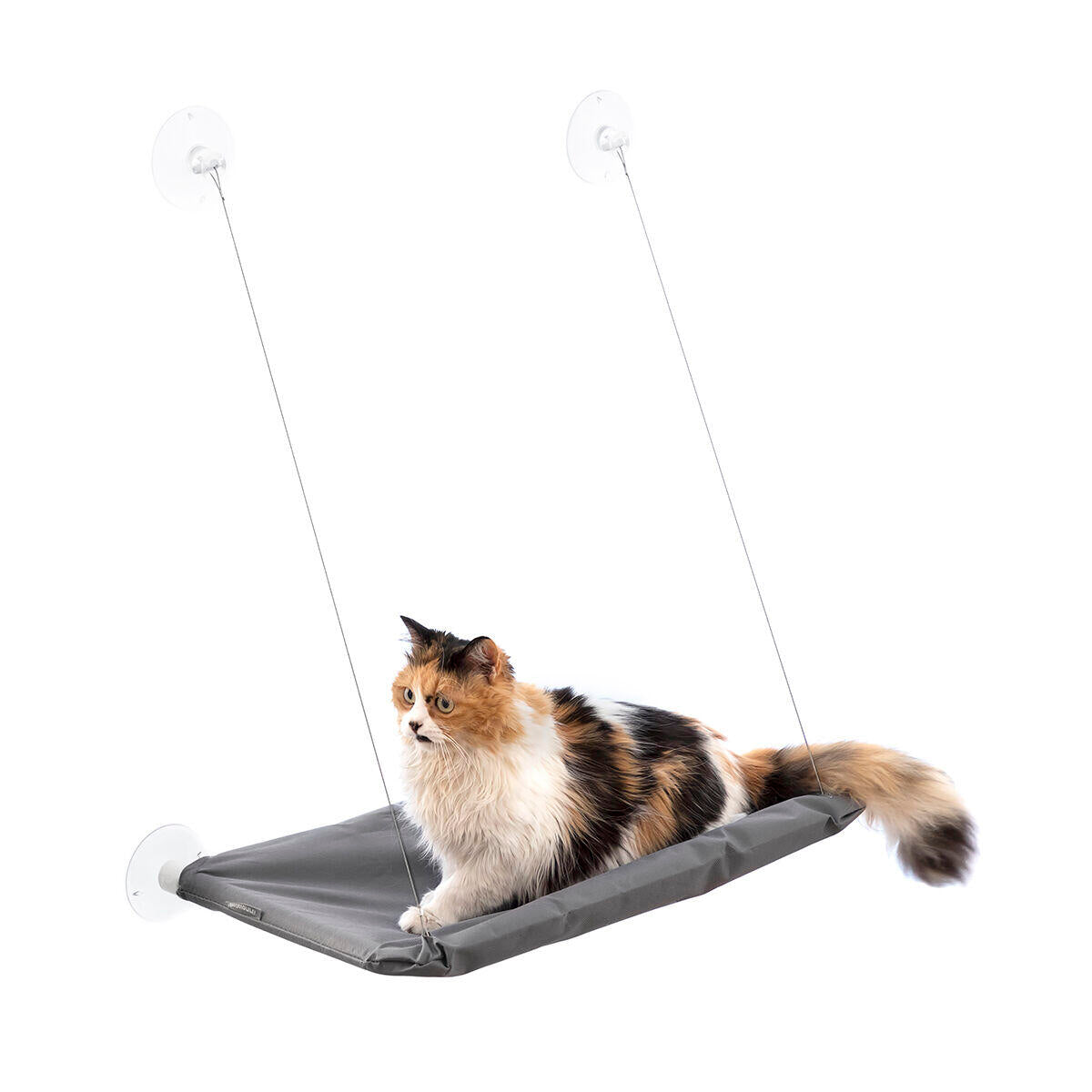 Hängende Hängematte für Katzen Catlax InnovaGoods