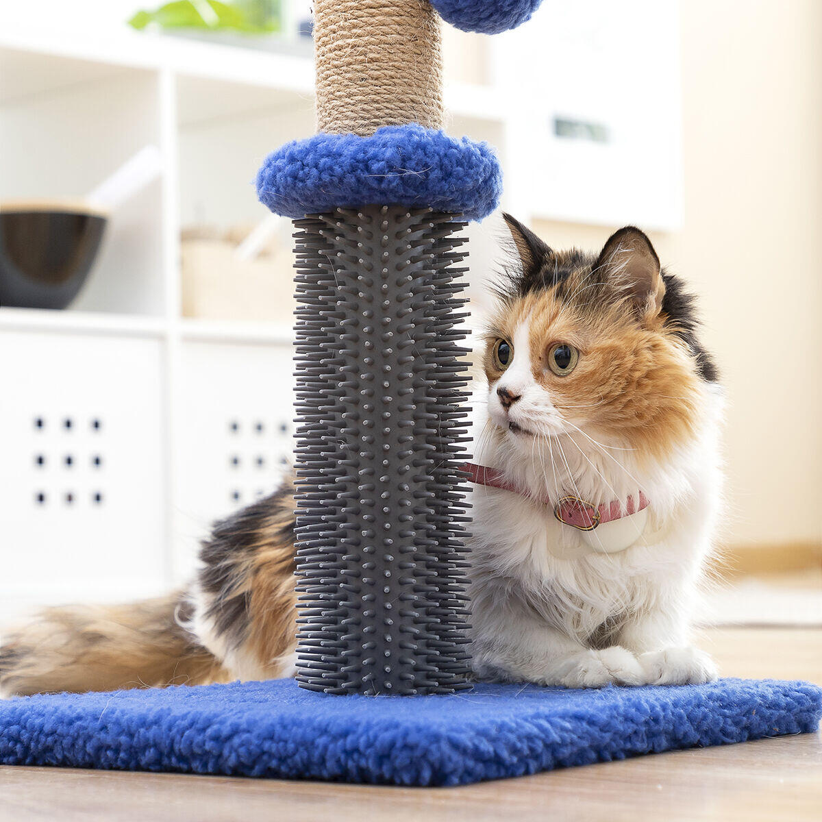 Miausage InnovaGoods Massage-Kratzbaum mit Ball für Katzen