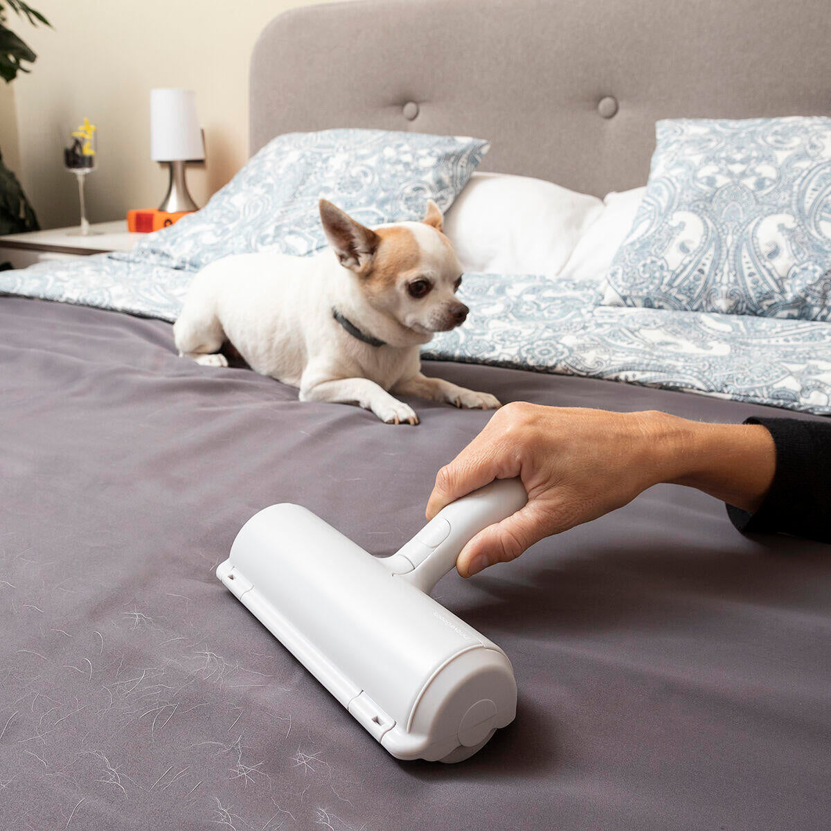 Rellair InnovaGoods Tierhaarentferner-Roller