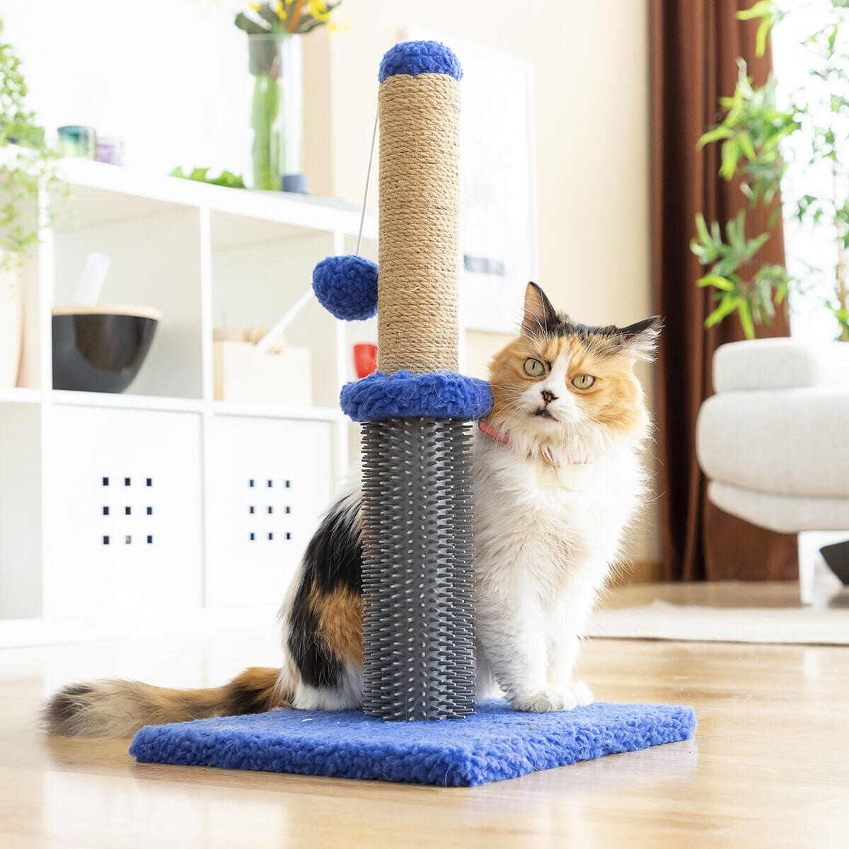 Miausage InnovaGoods Massage-Kratzbaum mit Ball für Katzen