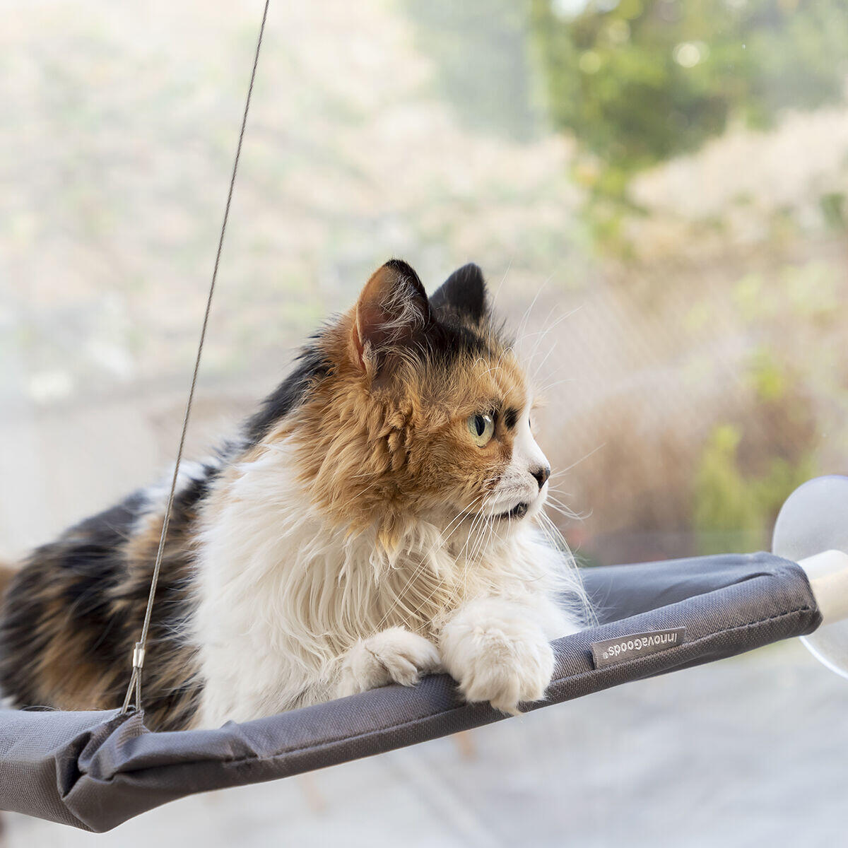 Hängende Hängematte für Katzen Catlax InnovaGoods