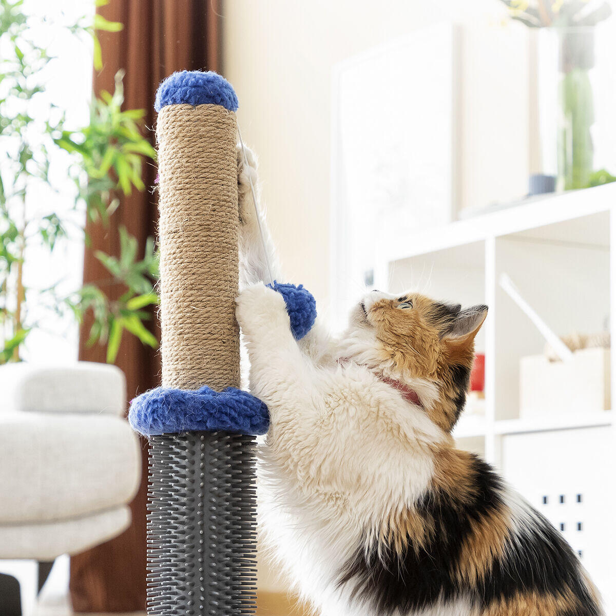 Miausage InnovaGoods Massage-Kratzbaum mit Ball für Katzen