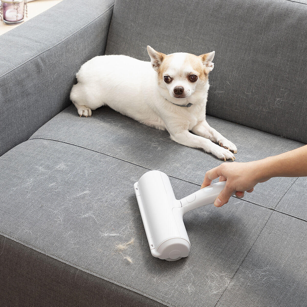 Rellair InnovaGoods Tierhaarentferner-Roller